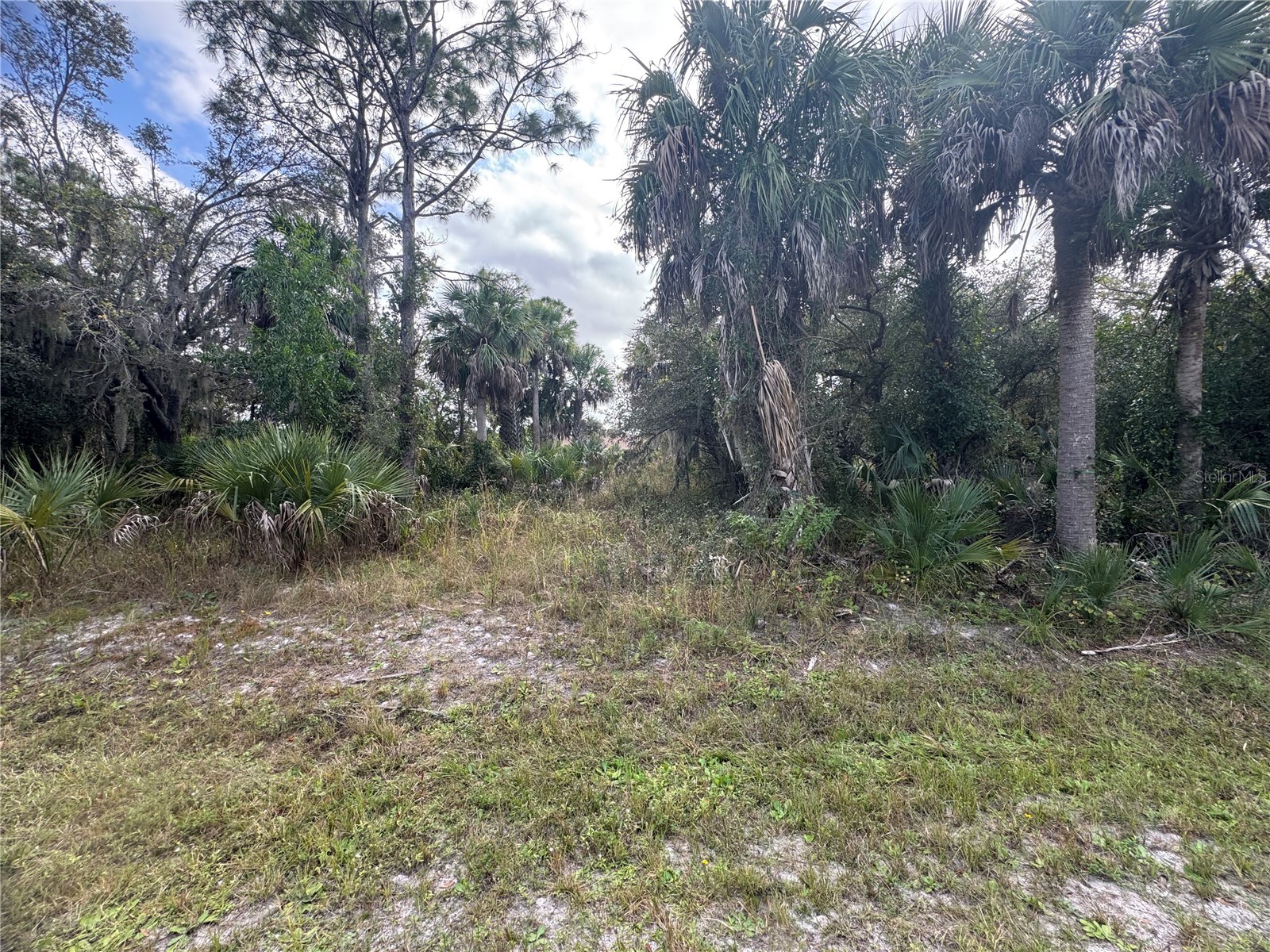 26129 Flower Road Punta Gorda FL 33955 C7519057 image1