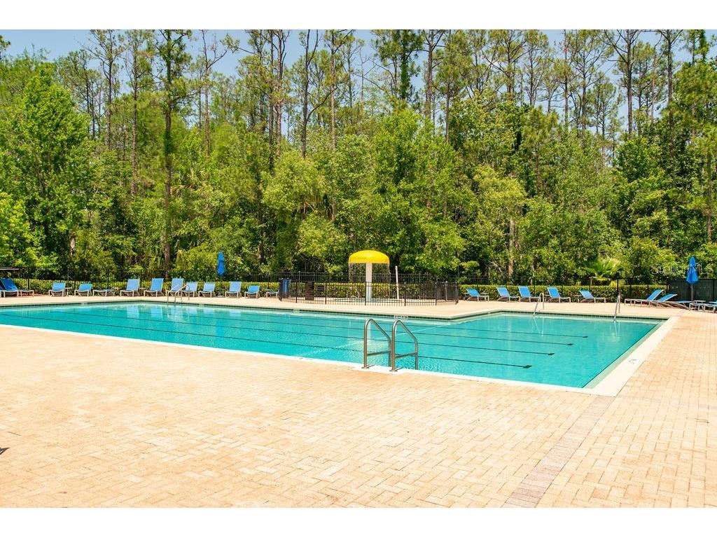 2613 Corbyton Court Orlando FL 32828 O6352277 image46