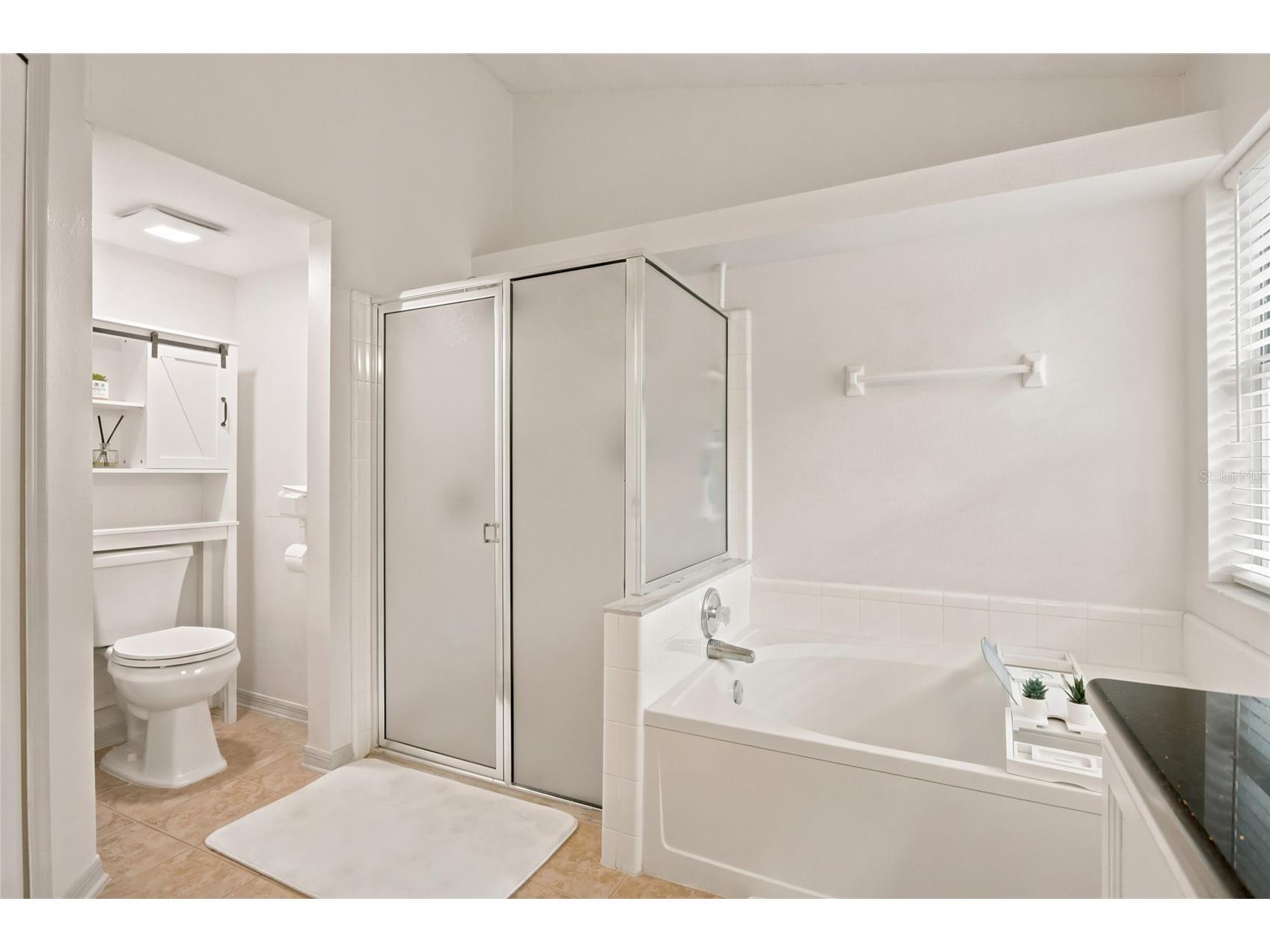 2613 Runyon Circle Orlando FL 32837 S5152195 image12