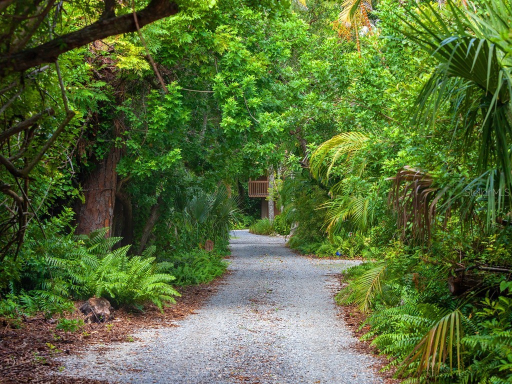 2613 Temple Street Sarasota FL 34239 A4673045 image3