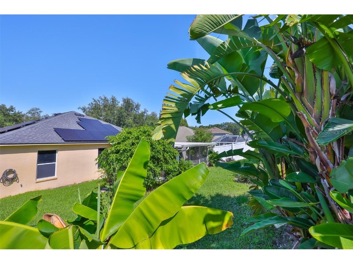 2613 Thames River Place Valrico FL 33596 TB8428052 image34