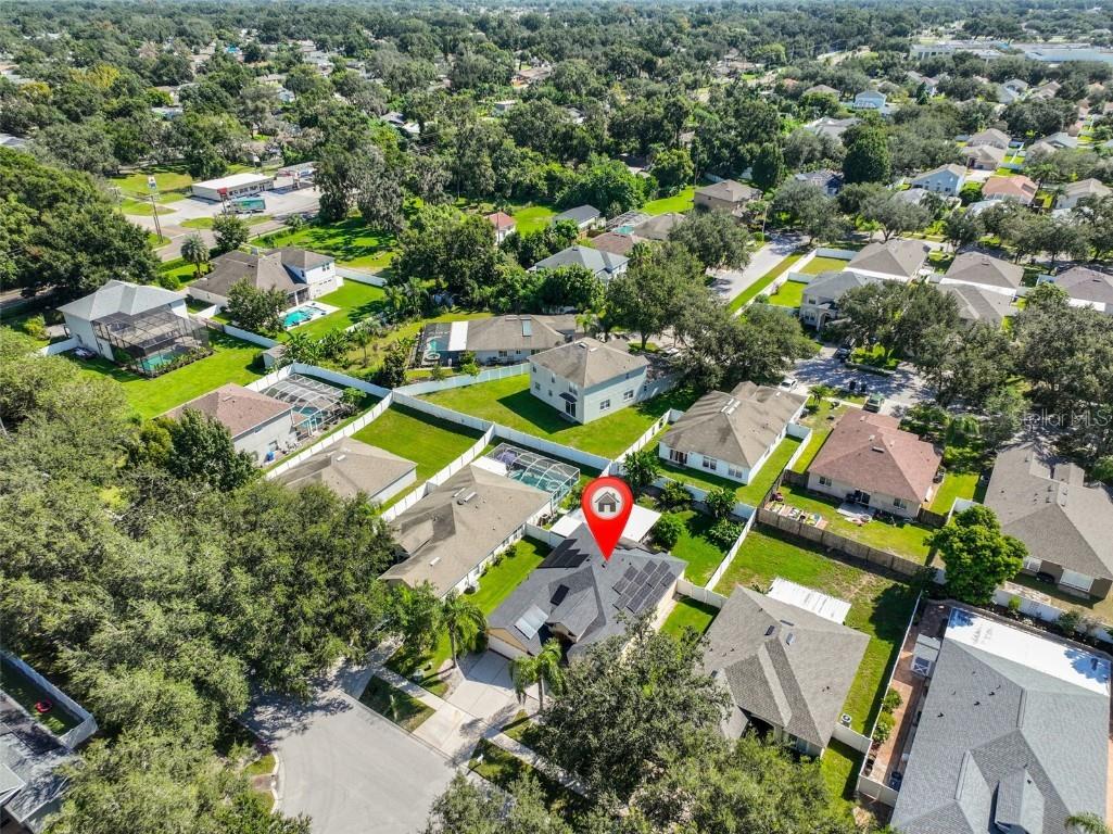 2613 Thames River Place Valrico FL 33596 TB8428052 image39