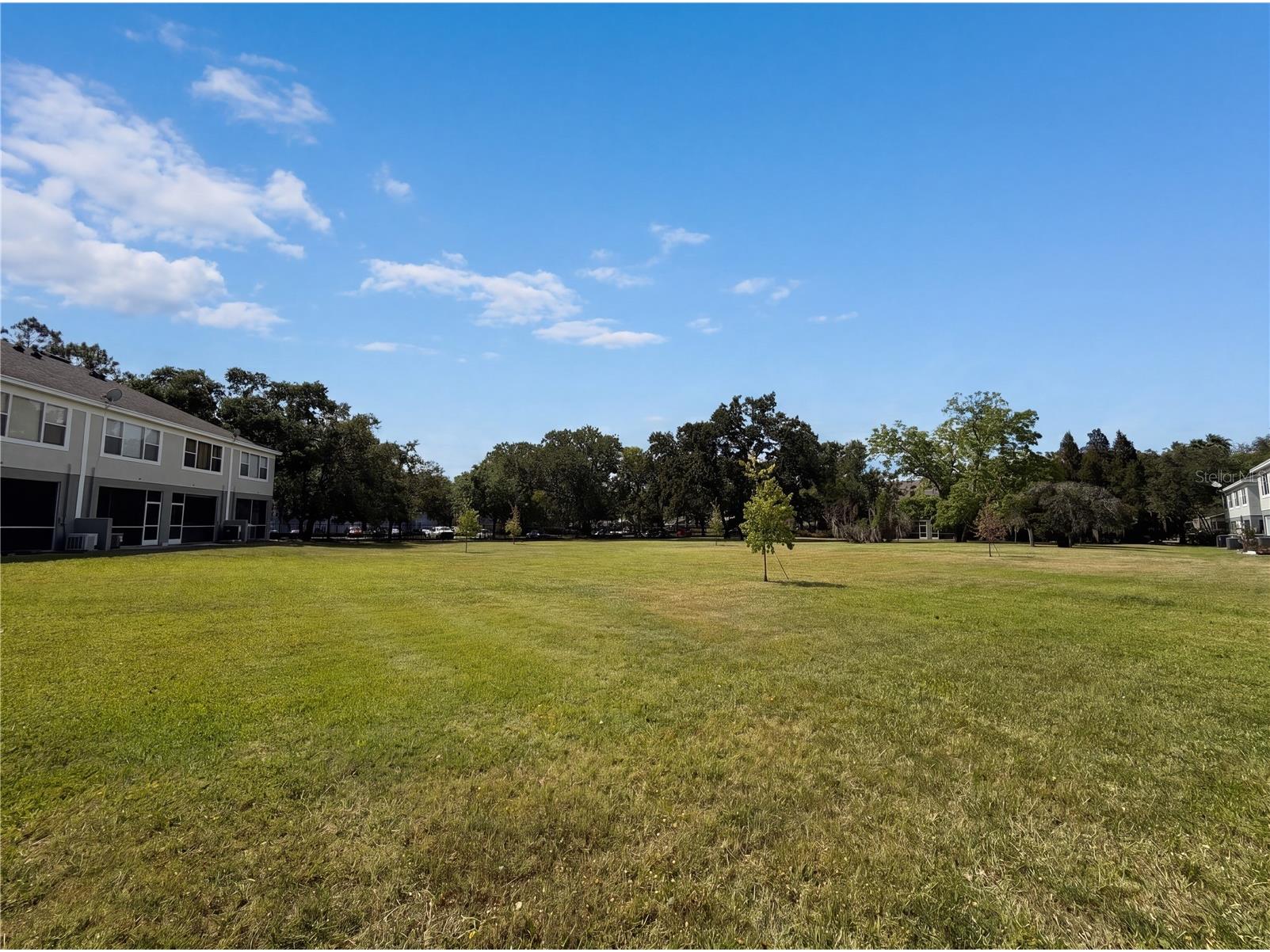 2614 Chelsea Manor Boulevard Brandon FL 33510 O6404134 image23