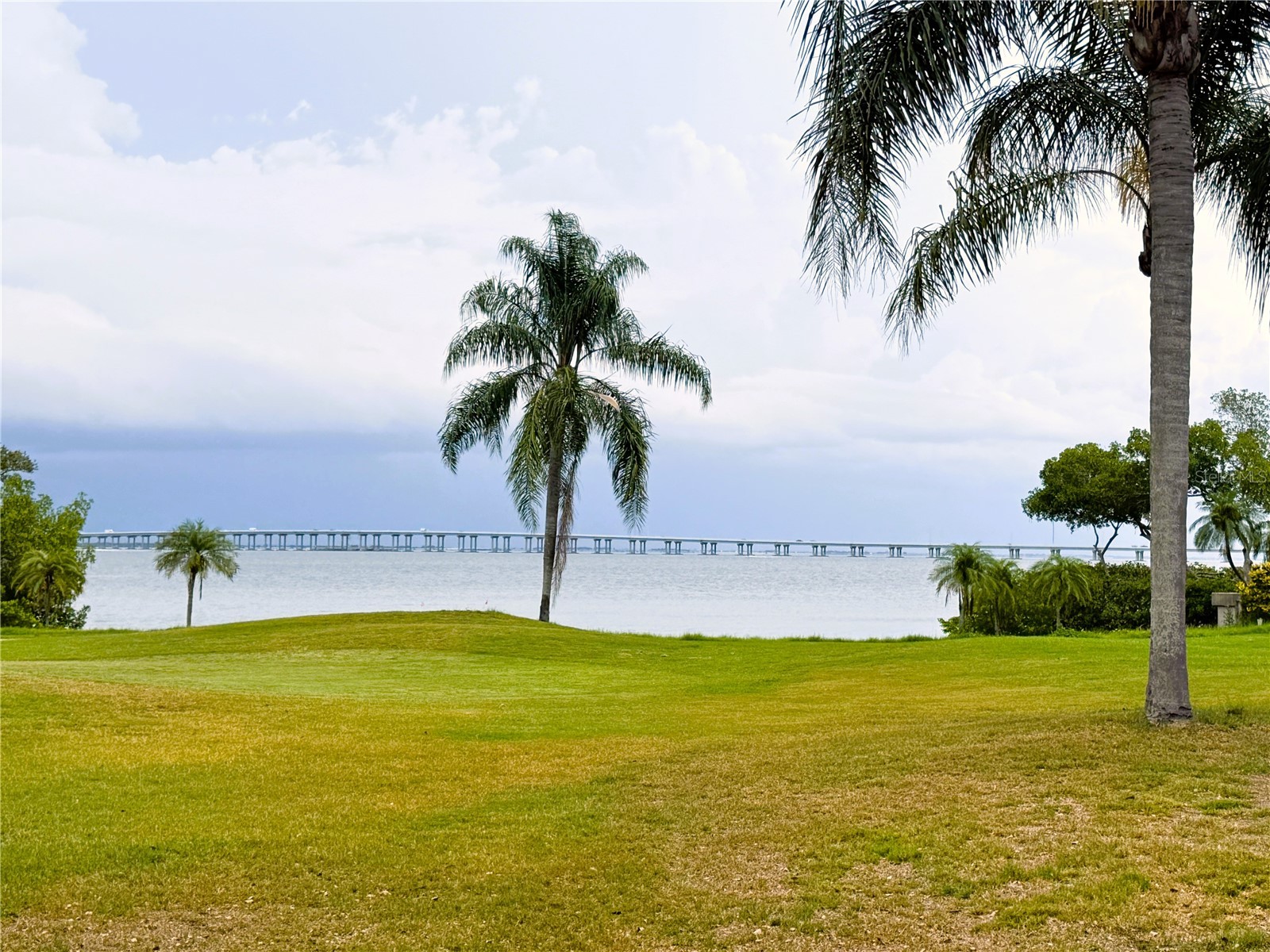 2614 Cove Cay Drive #204 Clearwater FL 33760 TB8524954 image25
