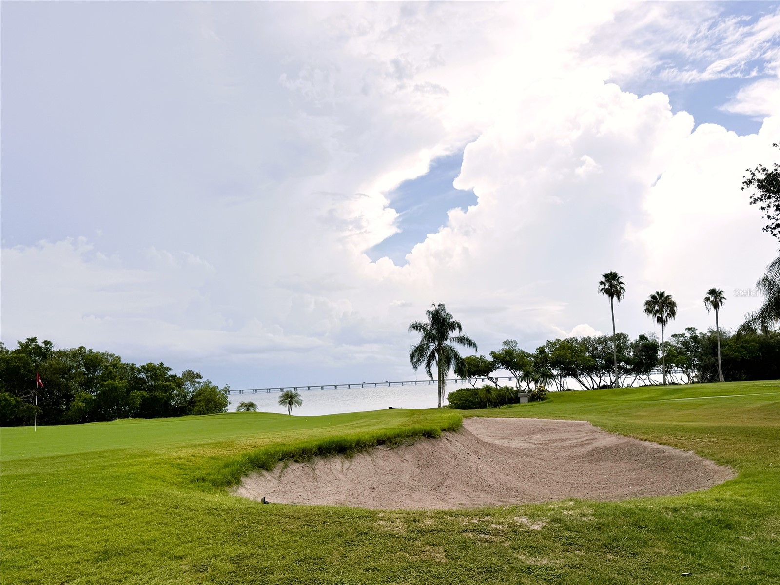 2614 Cove Cay Drive #204 Clearwater FL 33760 TB8524954 image26