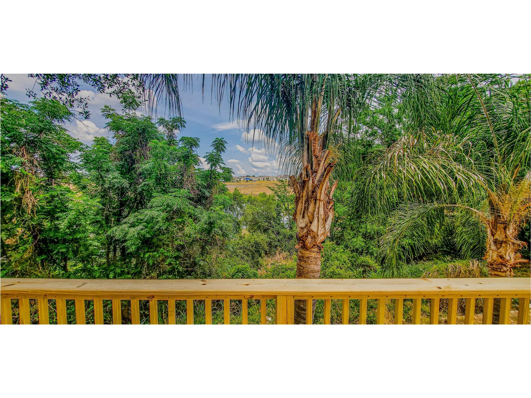 2614 Crest Drive Haines City FL 33844 - LAKE MOORE O6406582 image23