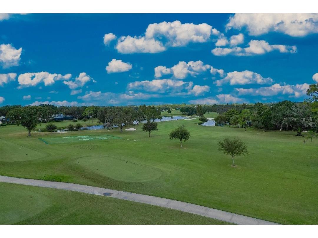 2614 Crestfield Drive Valrico FL 33596 TB8440388 image35