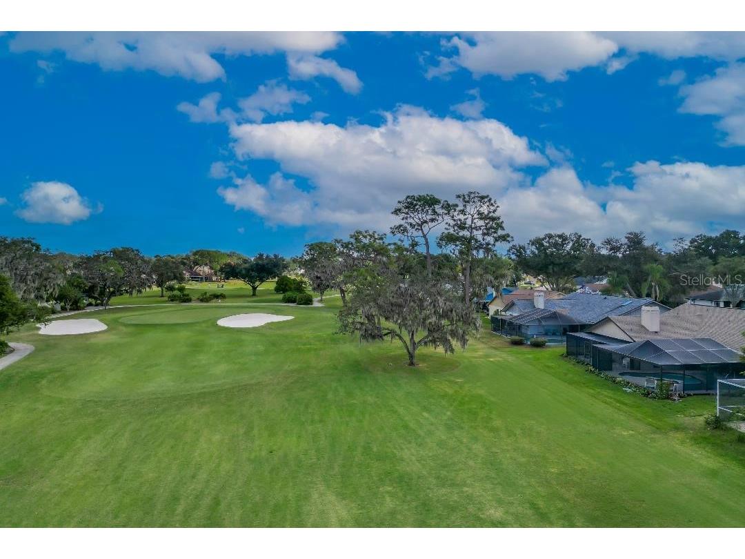 2614 Crestfield Drive Valrico FL 33596 TB8440388 image36