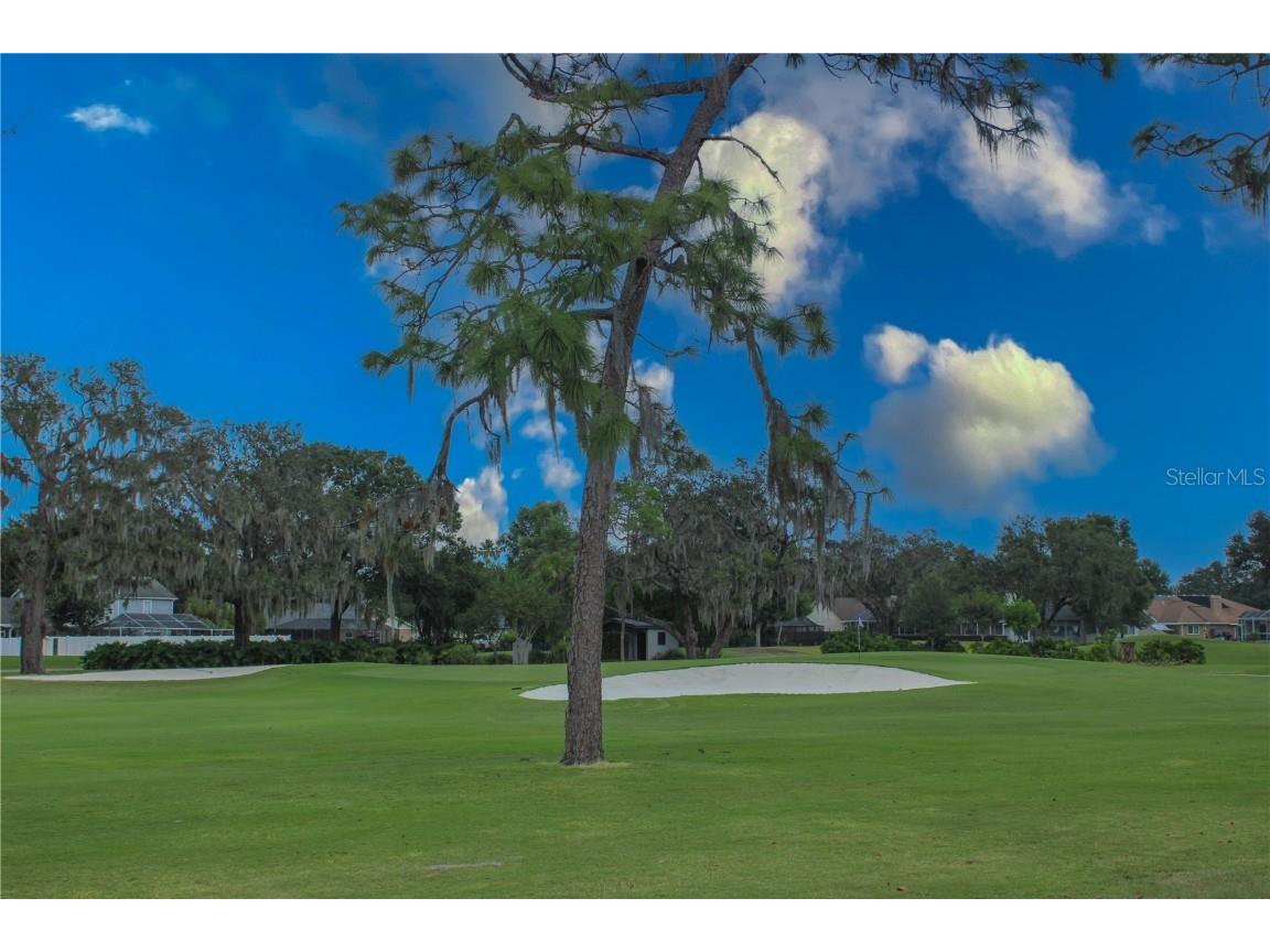 2614 Crestfield Drive Valrico FL 33596 TB8440388 image37