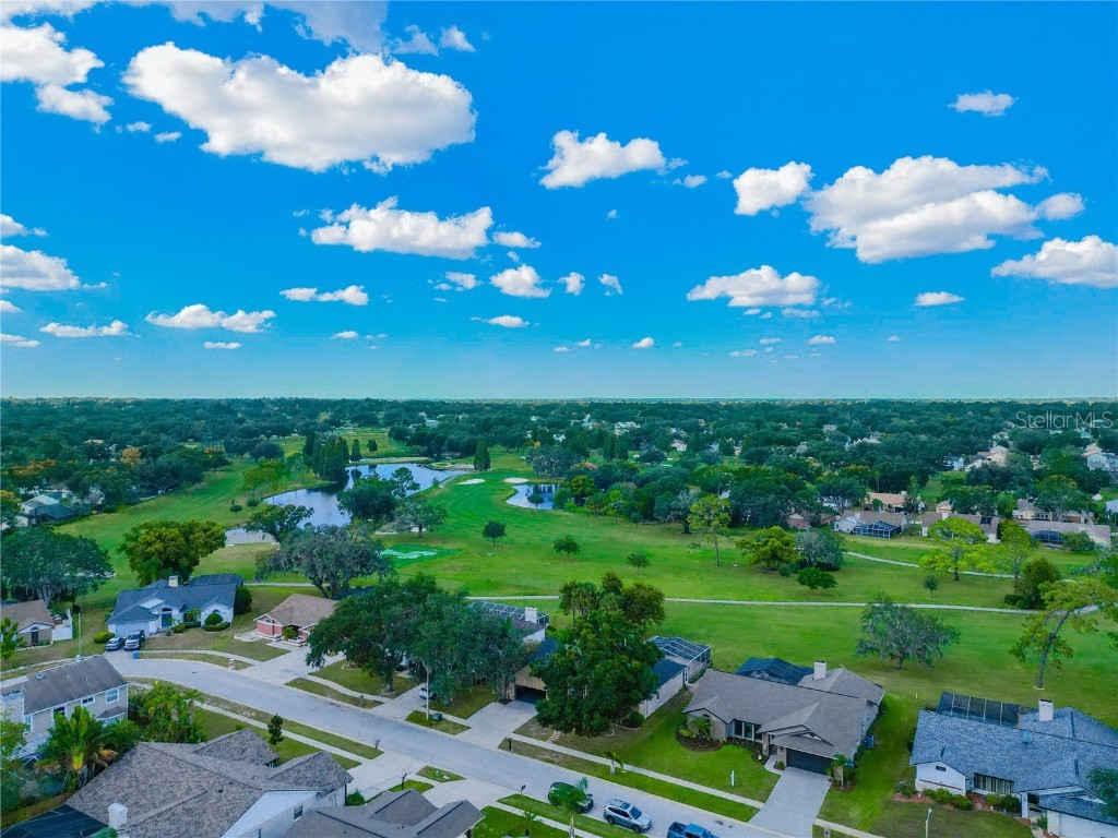 2614 Crestfield Drive Valrico FL 33596 TB8440388 image39