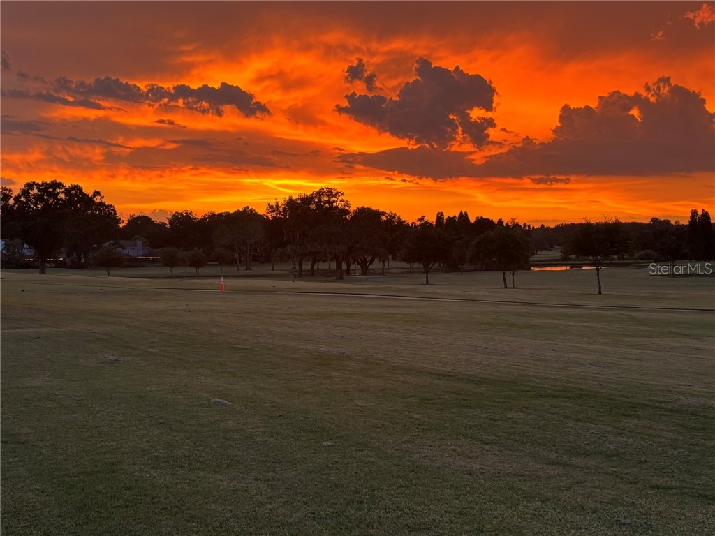 2614 Crestfield Drive Valrico FL 33596 TB8440388 image40