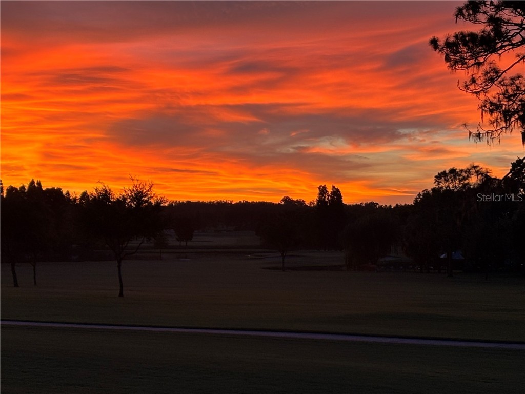 2614 Crestfield Drive Valrico FL 33596 TB8440388 image41