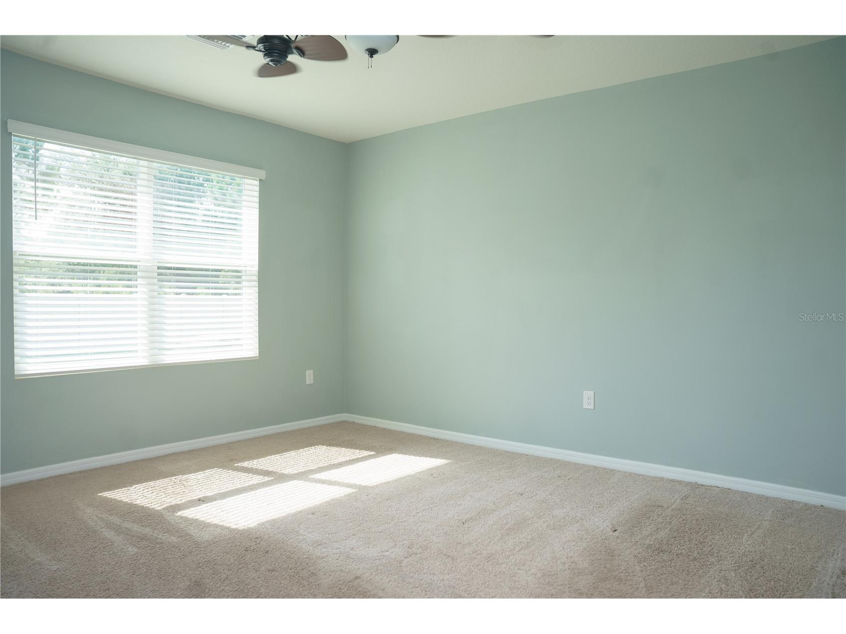 2614 Greenleaf Terrace Parrish FL 34219 TB8516472 image11