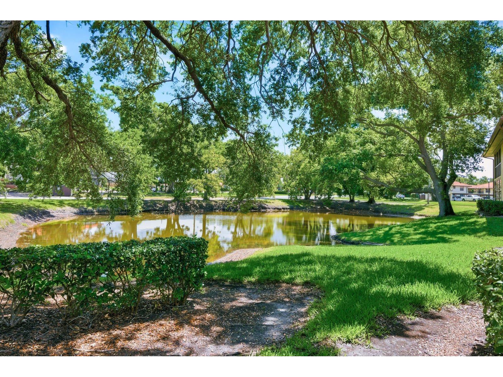2614 Hammock Court #2614 Clearwater FL 33761 TB8502175 image27