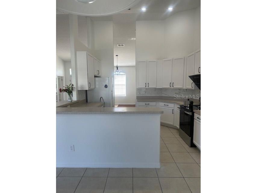 2614 Hartwood Pines Way Clermont FL 34711 O6364401 image5