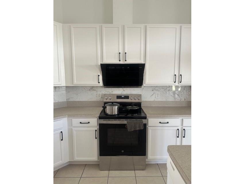 2614 Hartwood Pines Way Clermont FL 34711 O6364401 image6