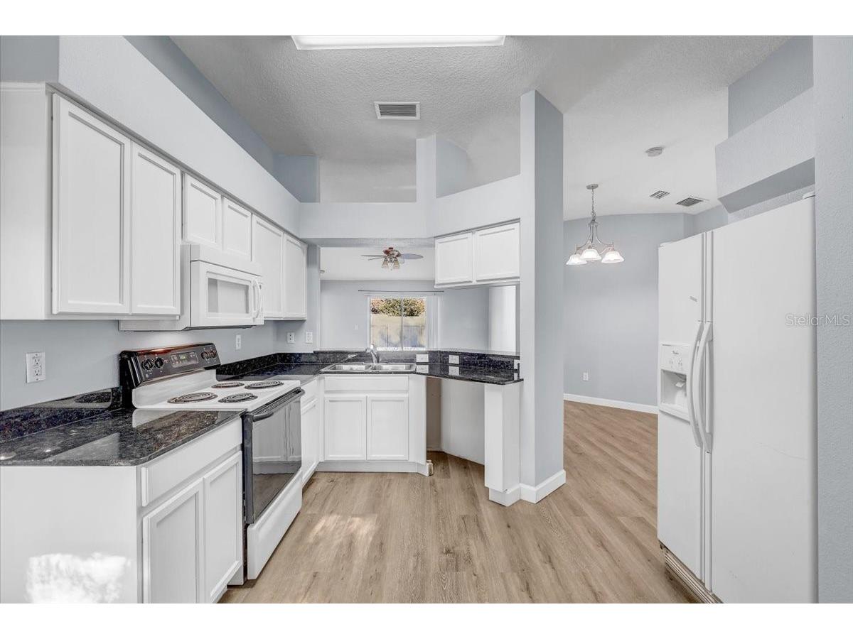 2614 Queen Alberta Drive Valrico FL 33596 TB8507382 image6