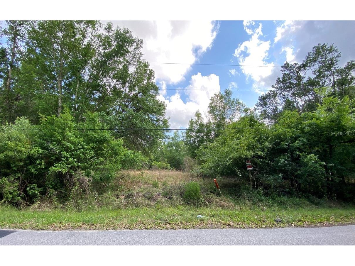 26148 Foamflower Boulevard Wesley Chapel FL 33544 T3366938 image1