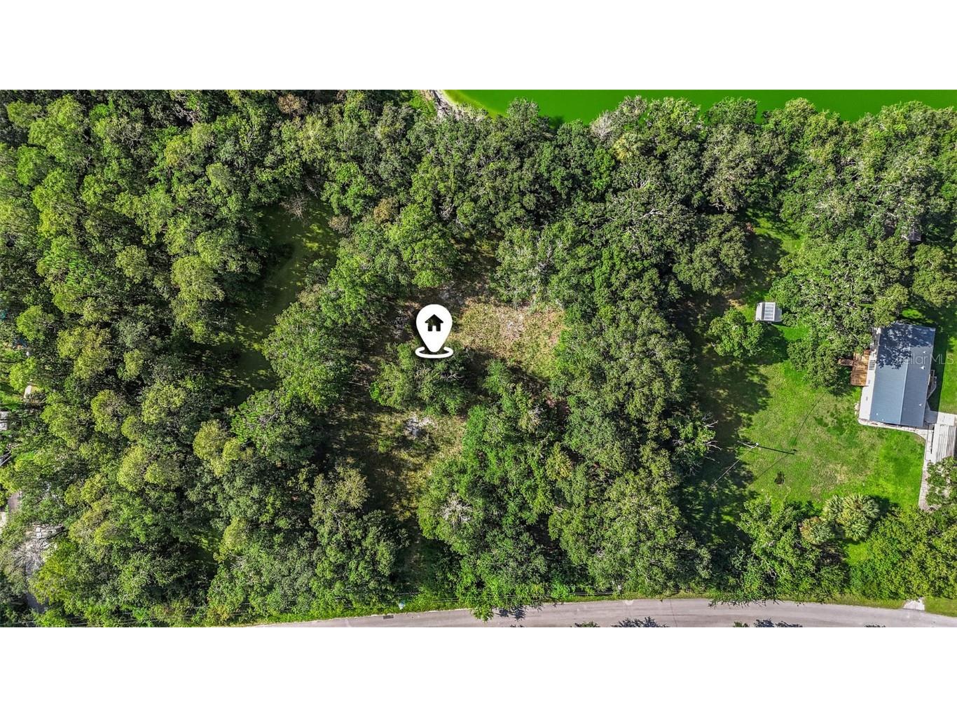 26148 Foamflower Boulevard Wesley Chapel FL 33544 T3551790 image1