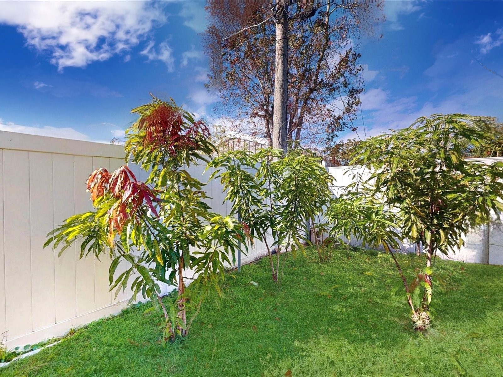 2615 Cecile Street Kissimmee FL 34741 S5141774 image30