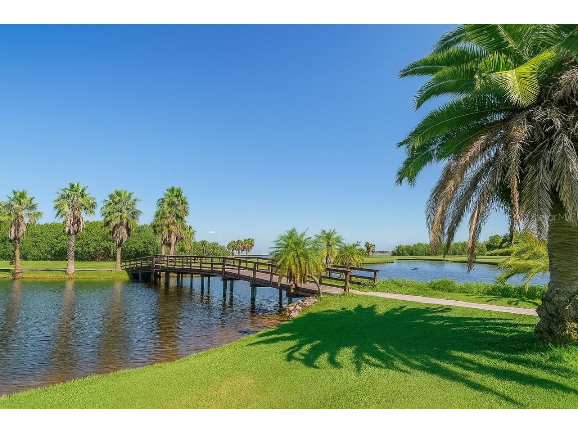 2615 Cove Cay Drive #409 Clearwater FL 33760 TB8447603 image66