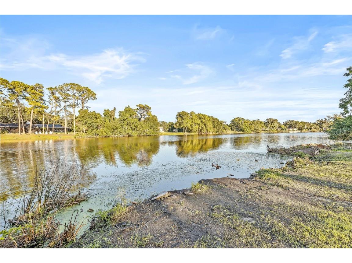 2615 Desoto Way S Saint Petersburg FL 33712 - Summit Lake TB8438978 image59