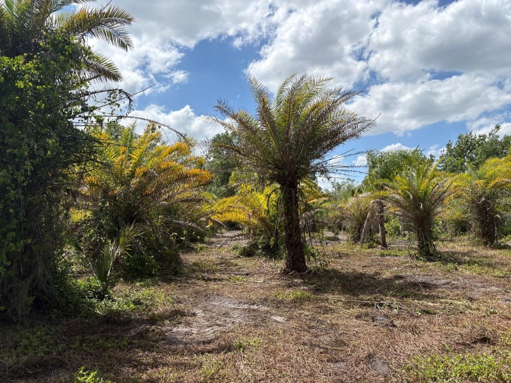 2615 Glencoe Farms Road New Smyrna Beach FL 32168 NS1082429 image10