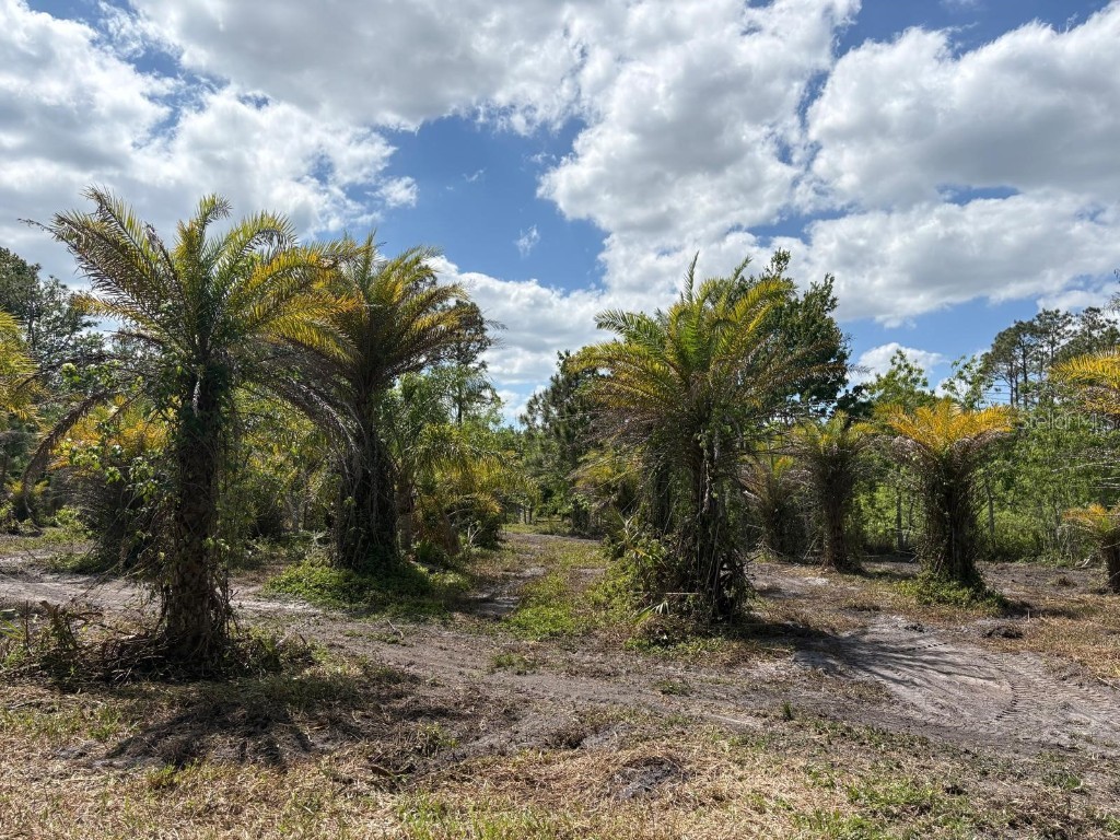 2615 Glencoe Farms Road New Smyrna Beach FL 32168 NS1082429 image11