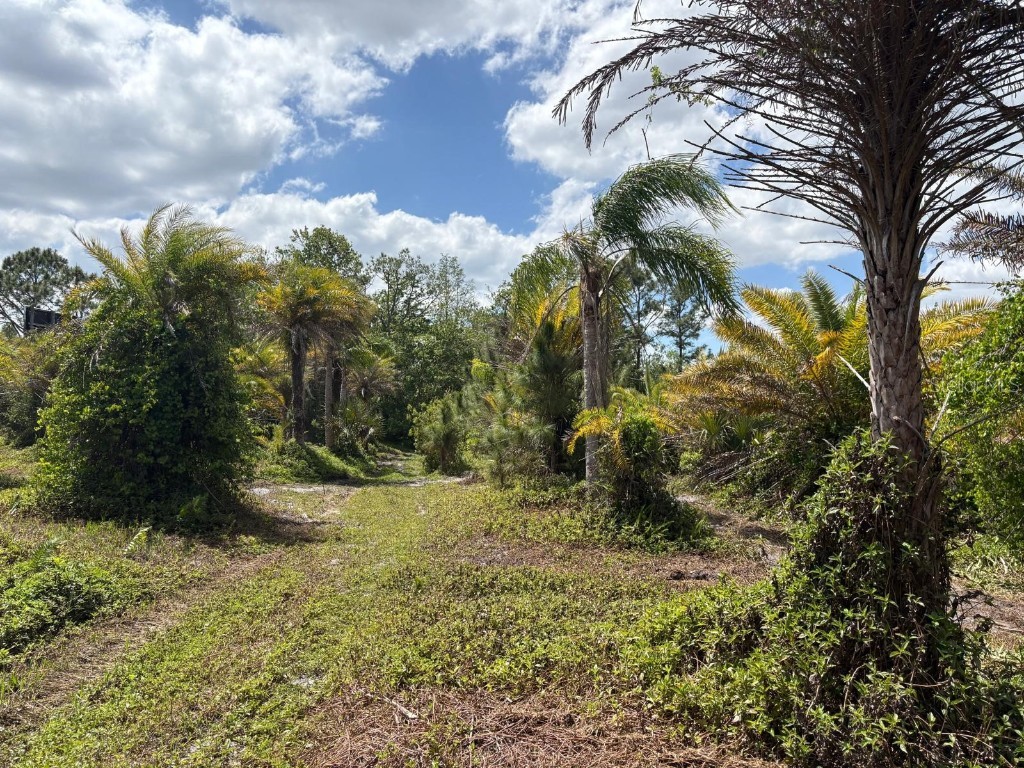 2615 Glencoe Farms Road New Smyrna Beach FL 32168 NS1082429 image12