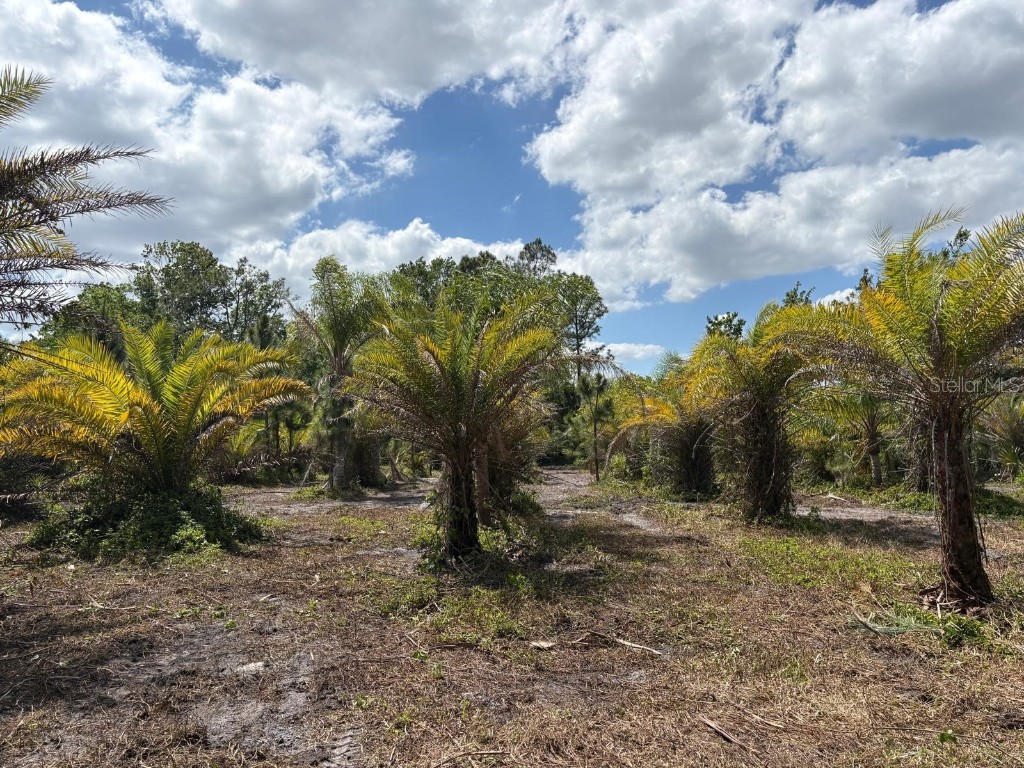 2615 Glencoe Farms Road New Smyrna Beach FL 32168 NS1082429 image8