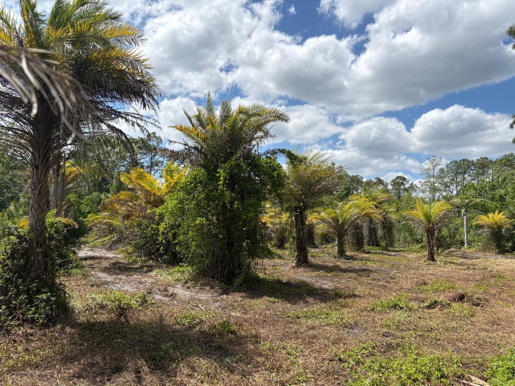 2615 Glencoe Farms Road New Smyrna Beach FL 32168 NS1082429 image9