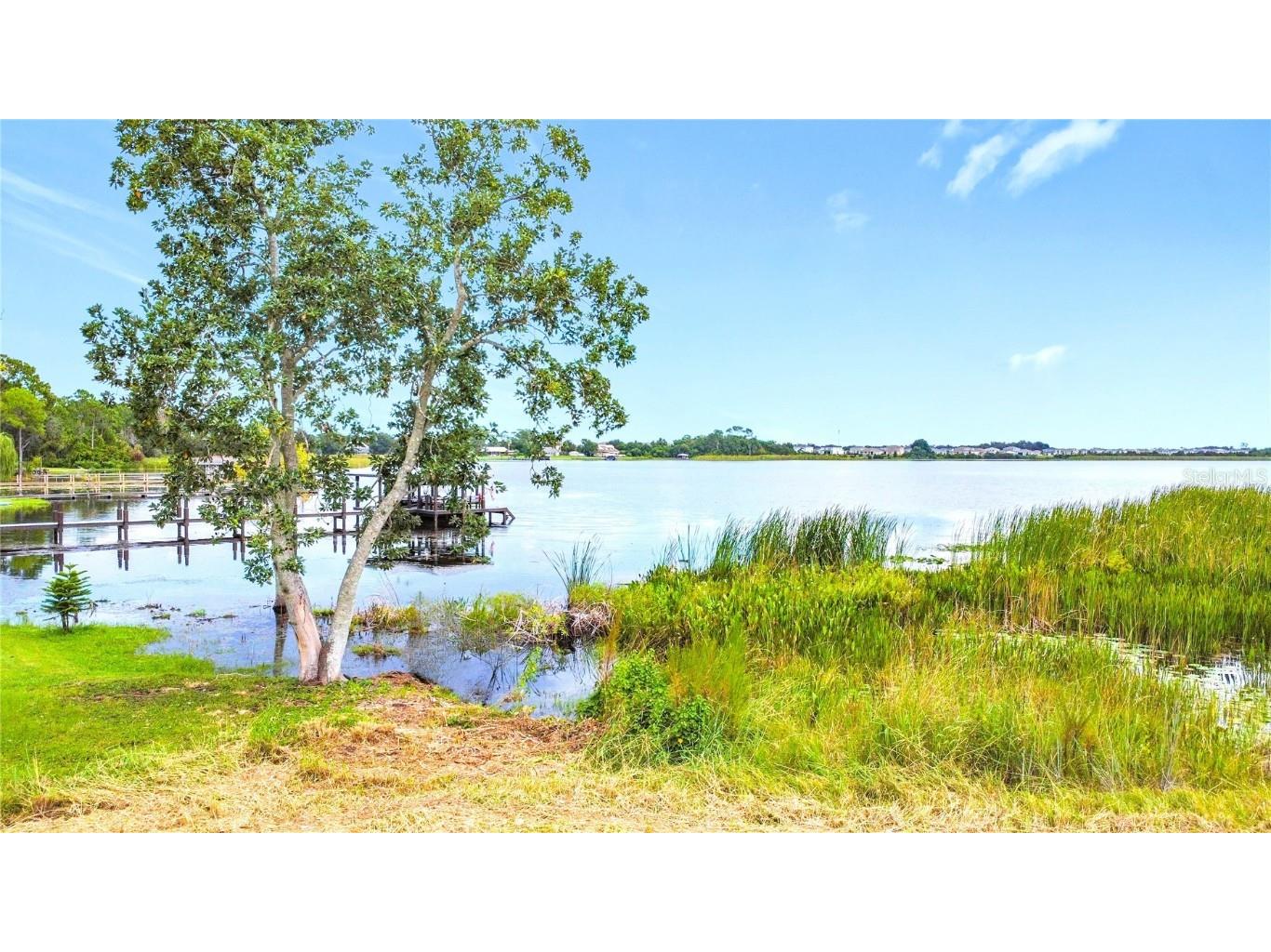 2615 Hickory Tree Road Saint Cloud FL 34772 - LIVE OAK LAKE O6340804 image7