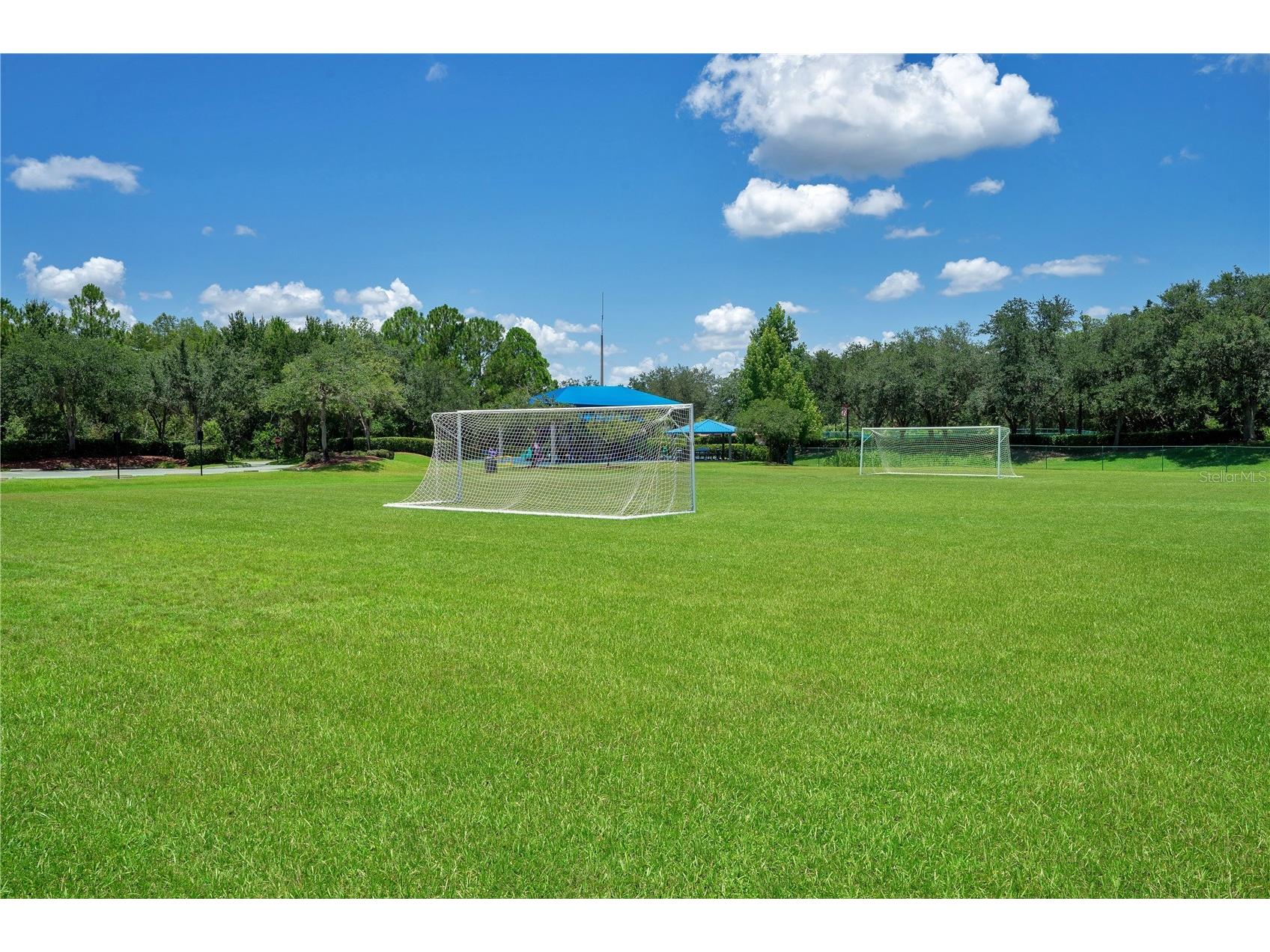 2615 Lakemoor Drive Orlando FL 32828 O6388942 image69