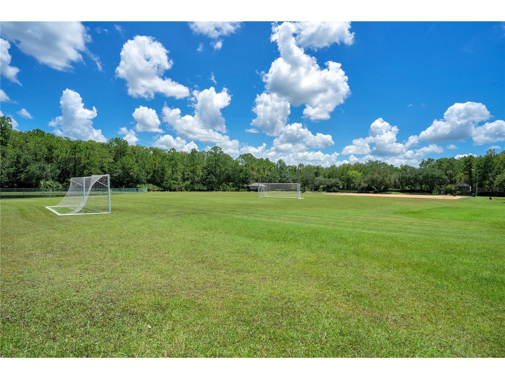 2615 Lakemoor Drive Orlando FL 32828 O6388942 image70