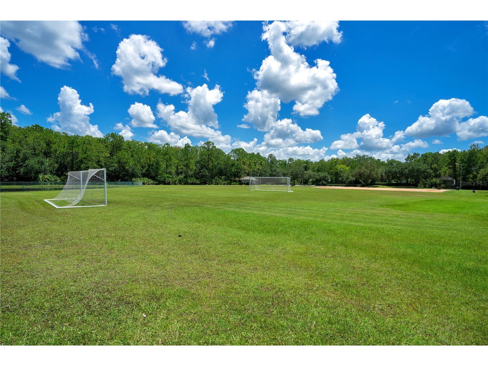 2615 Lakemoor Drive Orlando FL 32828 O6388942 image71