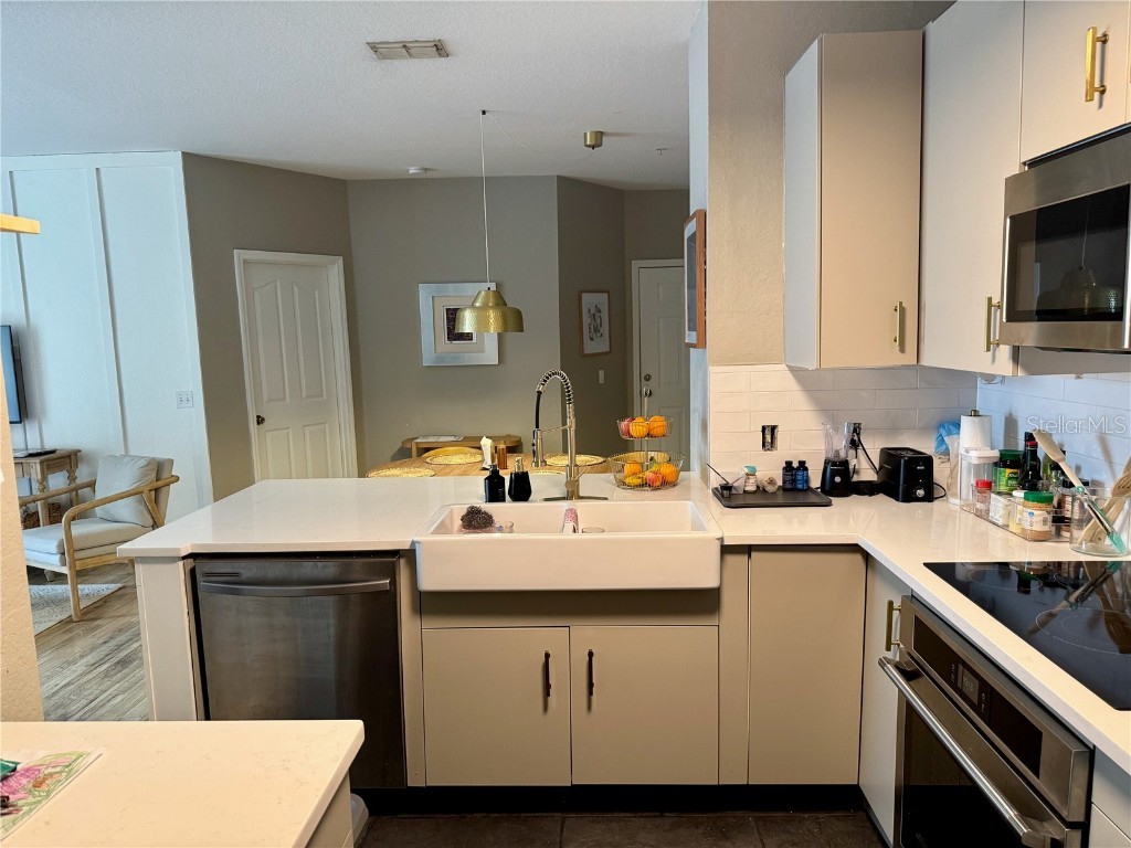 2615 Maitland Crossing Way #9201 Orlando FL 32810 O6340584 image7