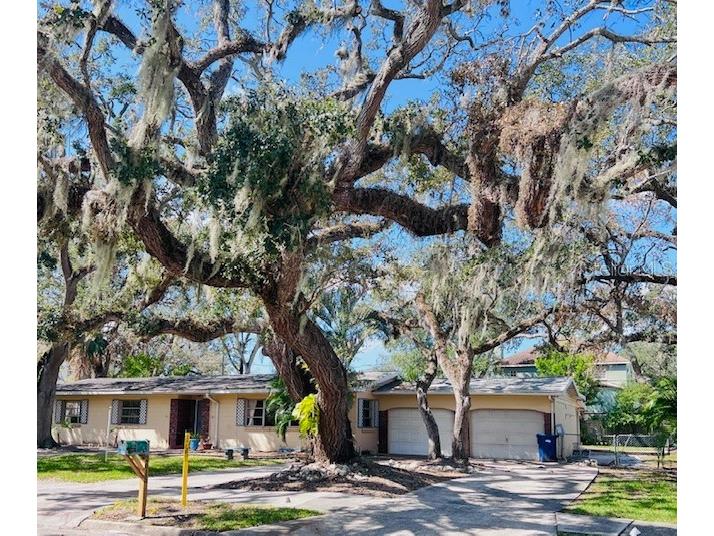 2615 S Hawthorne Circle Tampa FL 33629 TB8313505 image1