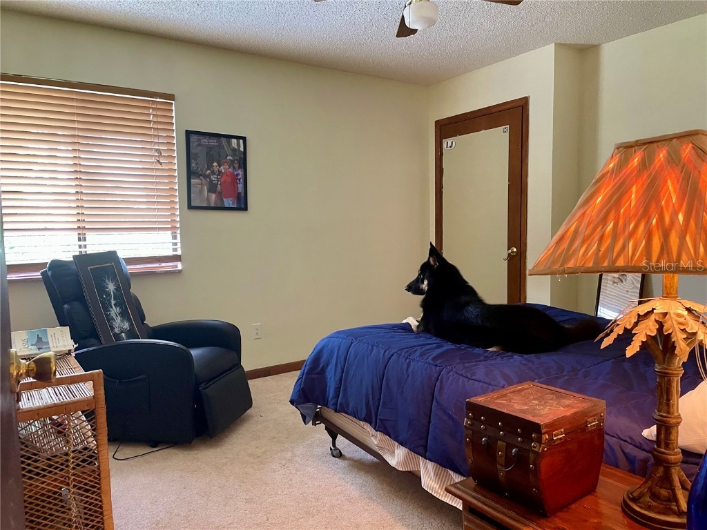 2615 Willow Oak Drive Edgewater FL 32141 V4944978 image28