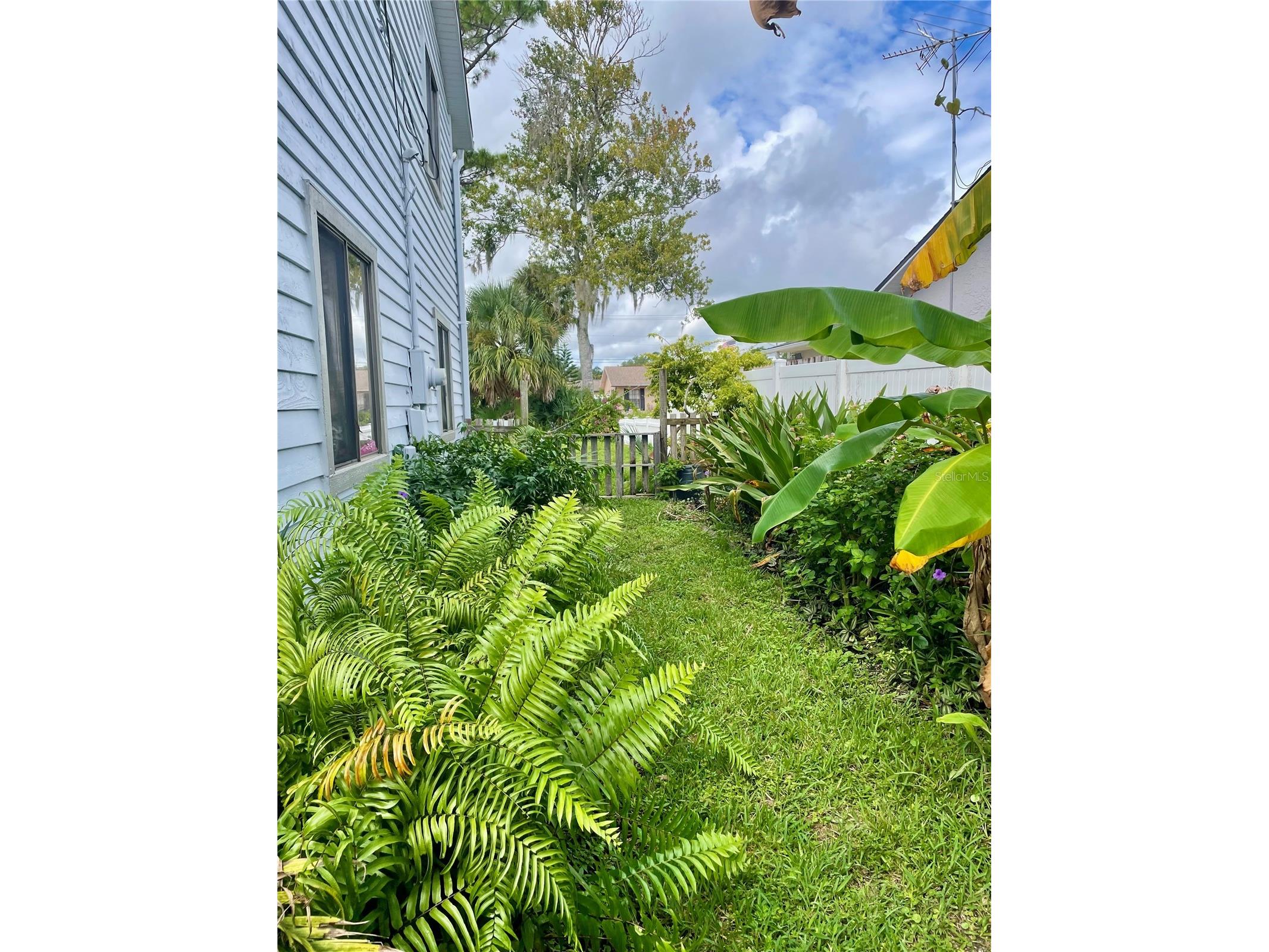 2615 Willow Oak Drive Edgewater FL 32141 V4944978 image48