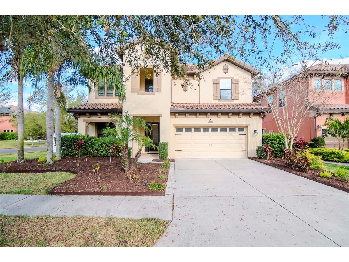 2616 Calvano Drive Land O Lakes FL 34639 T3509500 image1