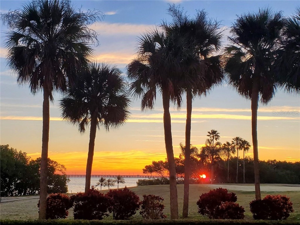 2616 Cove Cay Drive #102 Clearwater FL 33760 TB8437223 image1