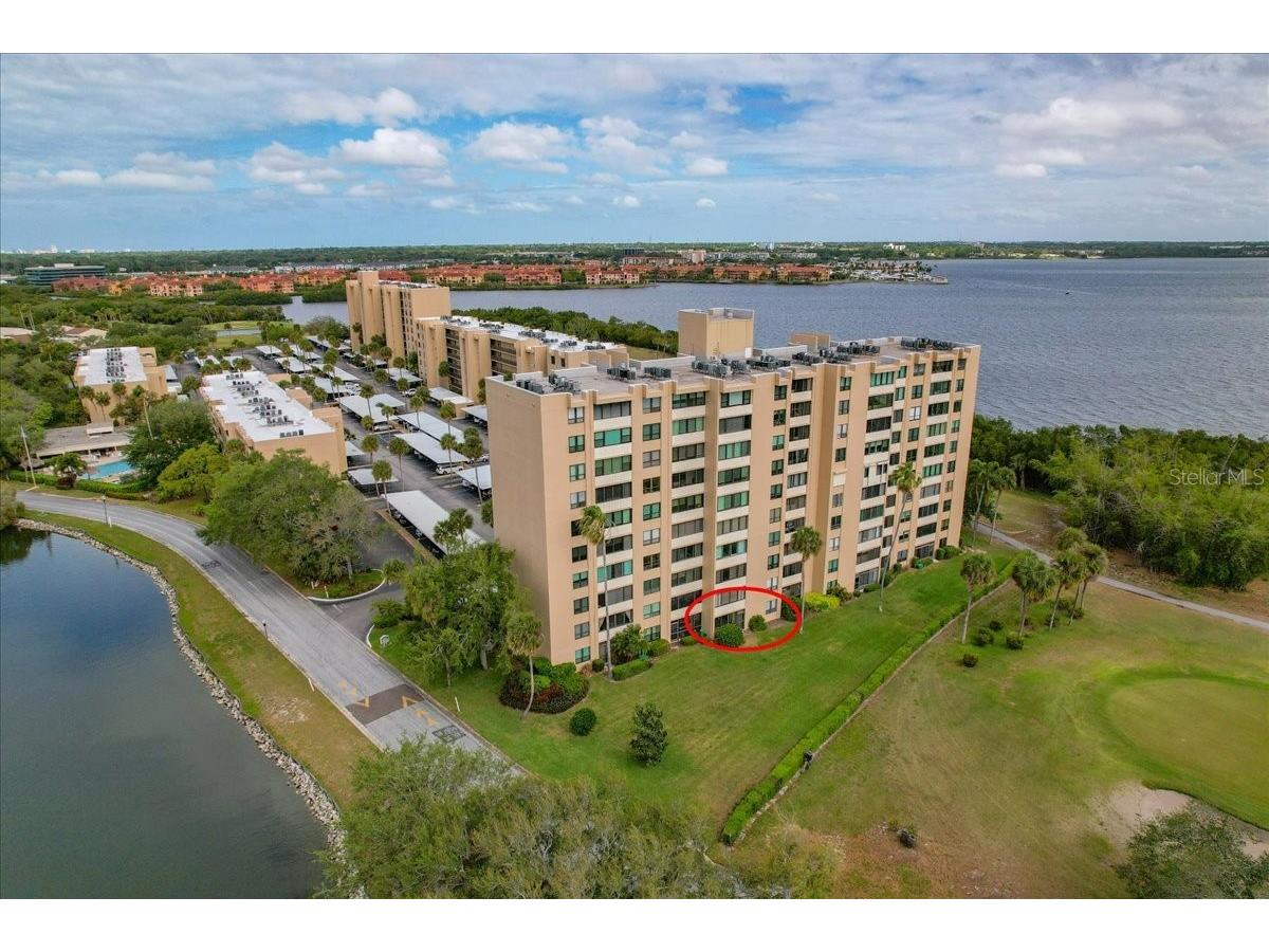 2616 Cove Cay Drive #105 Clearwater FL 33760 TB8492365 image1