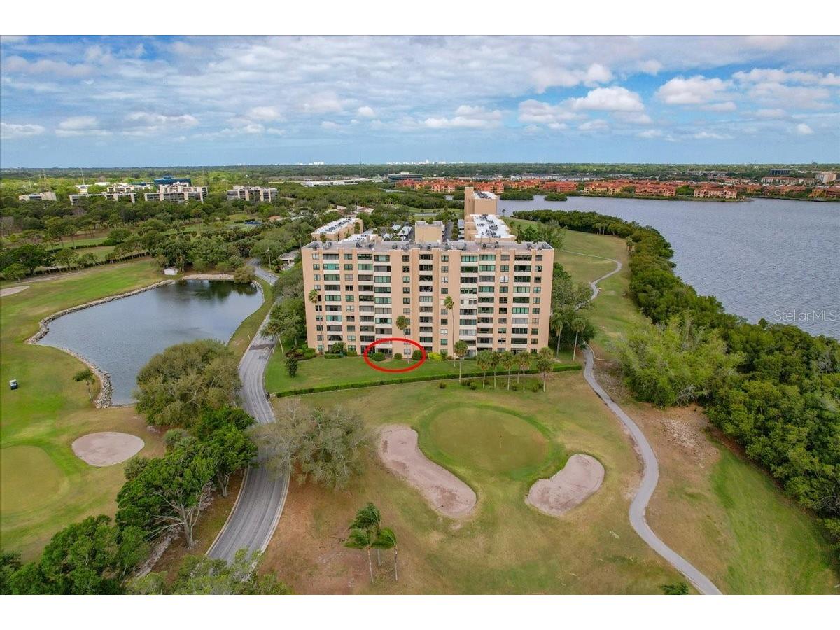 2616 Cove Cay Drive #105 Clearwater FL 33760 TB8492365 image59
