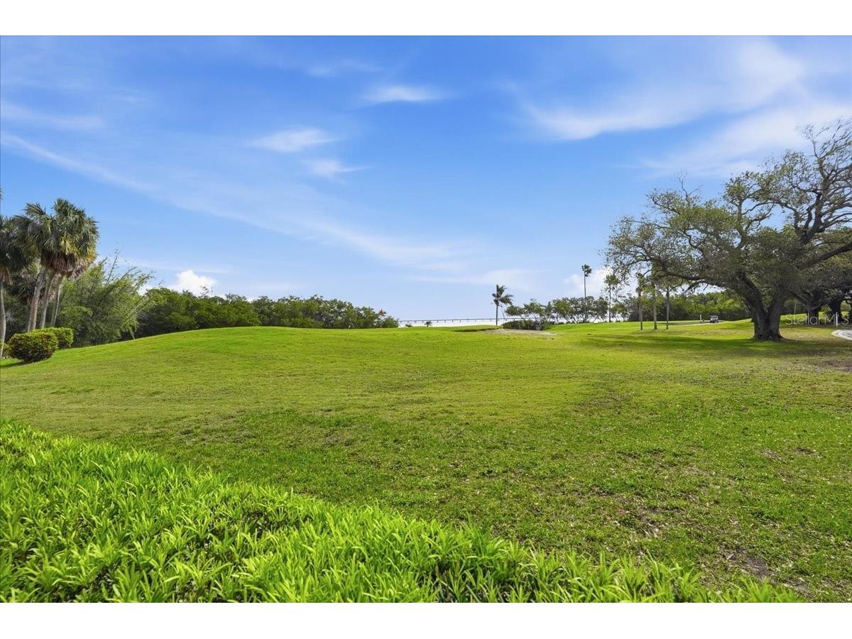 2616 Cove Cay Drive #105 Clearwater FL 33760 TB8492365 image73