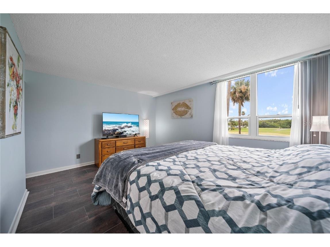 2616 Cove Cay Drive #203 Clearwater FL 33760 - TAMPA BAY TB8409399 image22