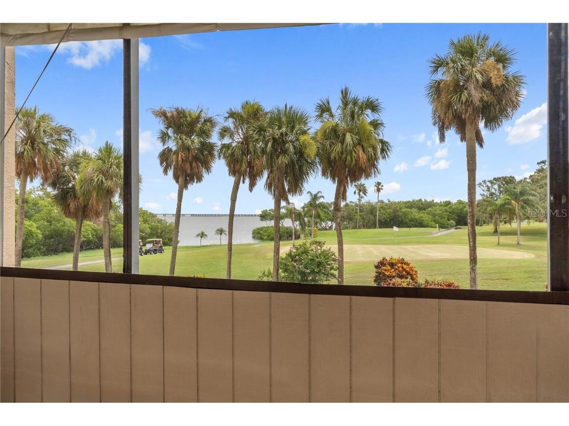 2616 Cove Cay Drive #203 Clearwater FL 33760 - TAMPA BAY TB8409399 image3