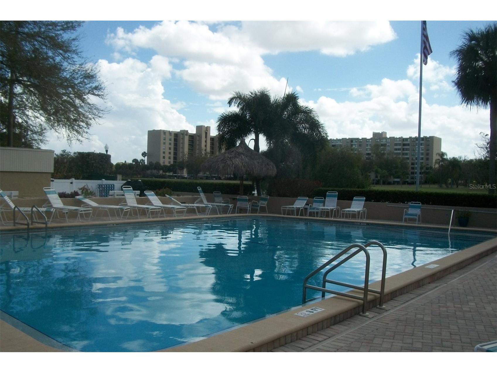 2616 Cove Cay Drive #207 Clearwater FL 33760 TB8483960 image24