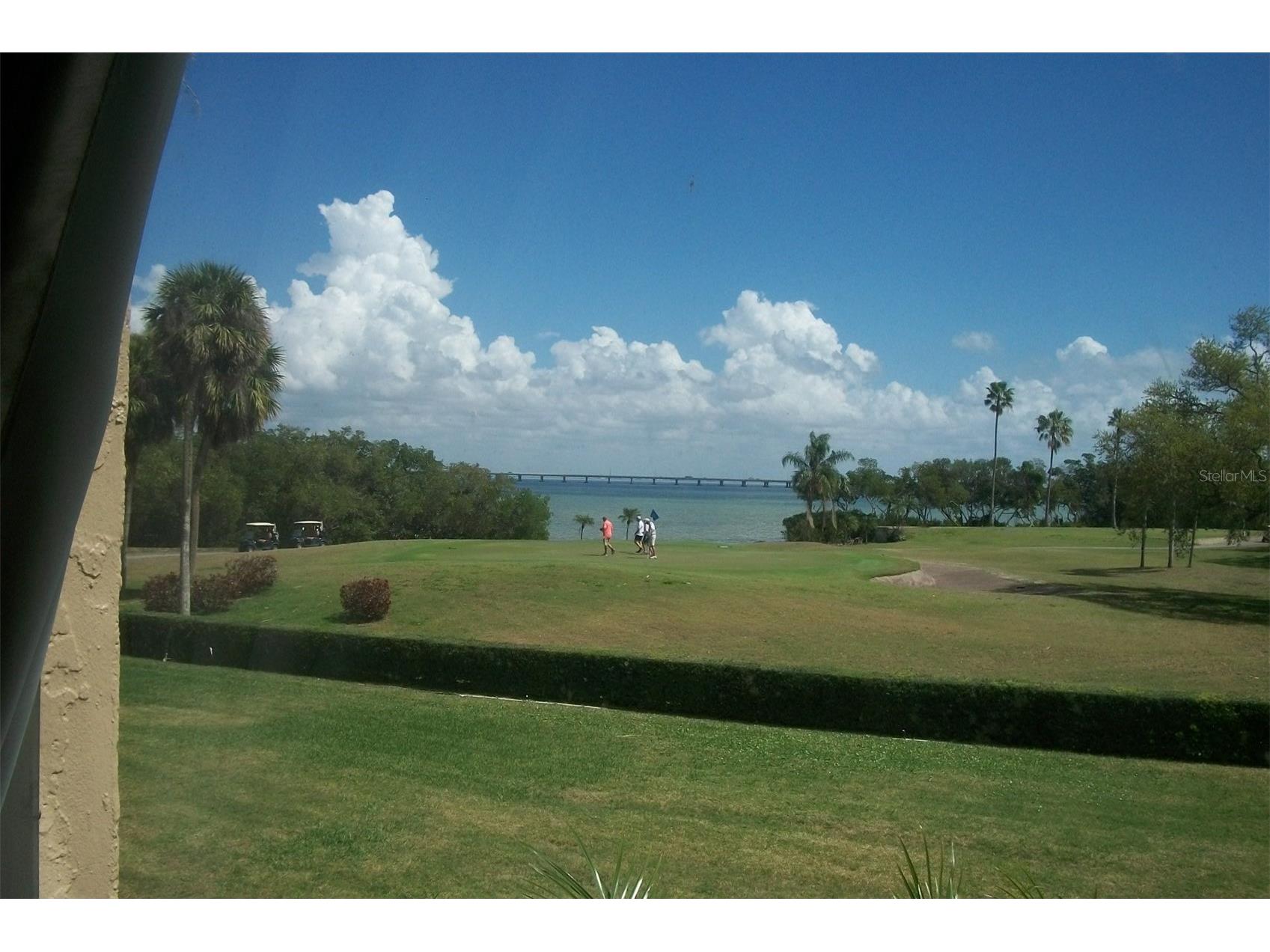 2616 Cove Cay Drive #207 Clearwater FL 33760 TB8483960 image4