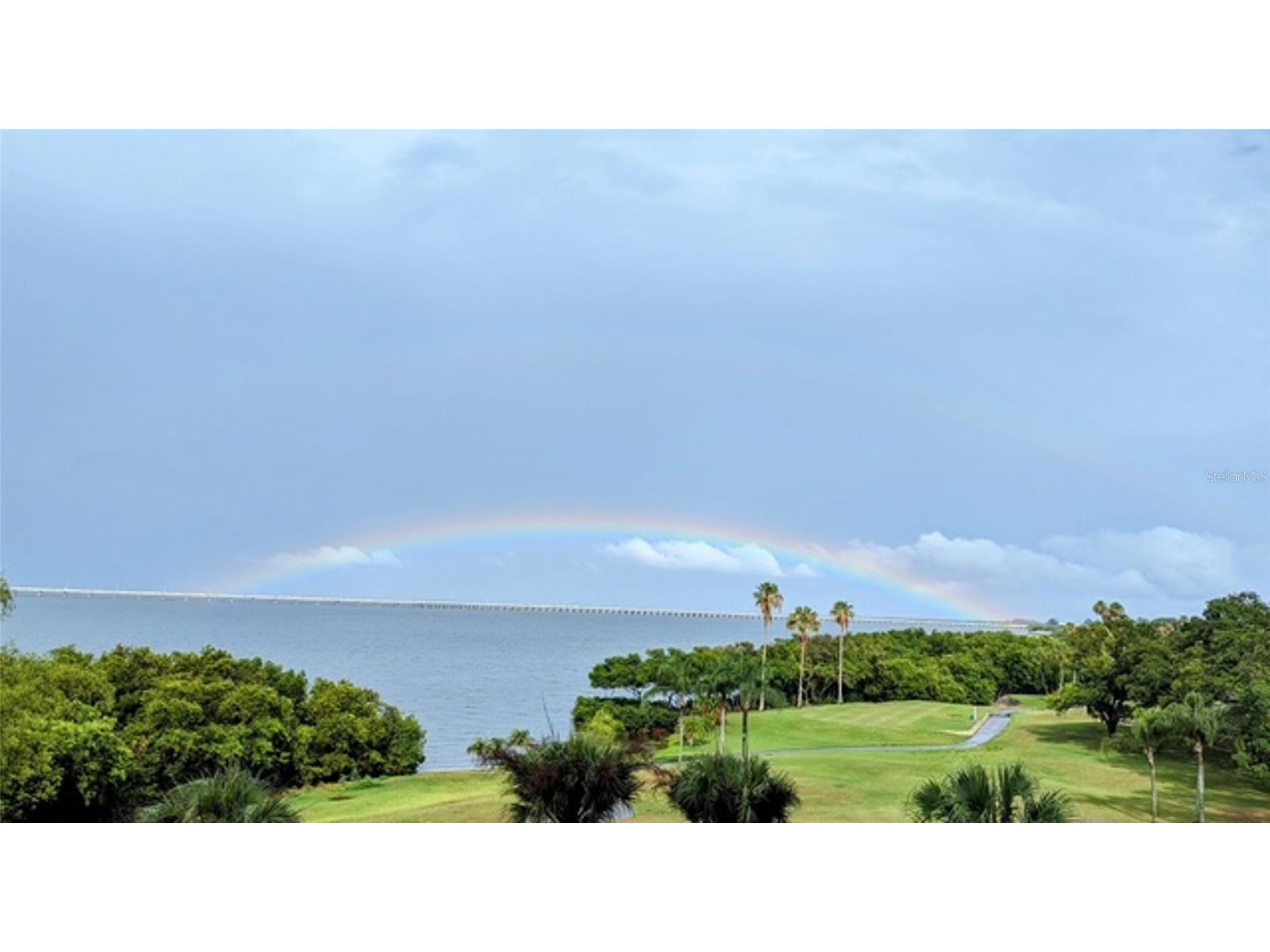 2616 Cove Cay Drive #502 Clearwater FL 33760 - TAMPA BAY TB8484987 image34