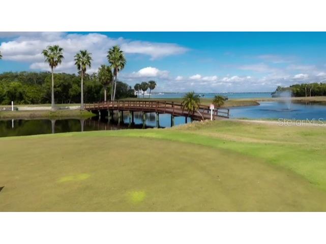 2616 Cove Cay Drive #502 Clearwater FL 33760 - TAMPA BAY TB8484987 image39